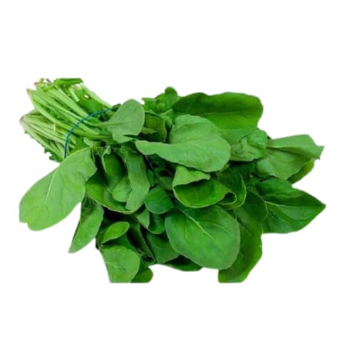 product_img1